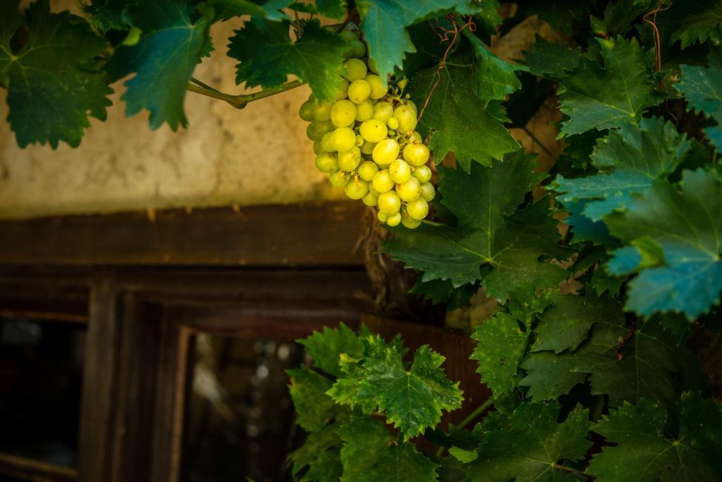 Chateau Le Bouis グリュイッサン エクステリア 写真